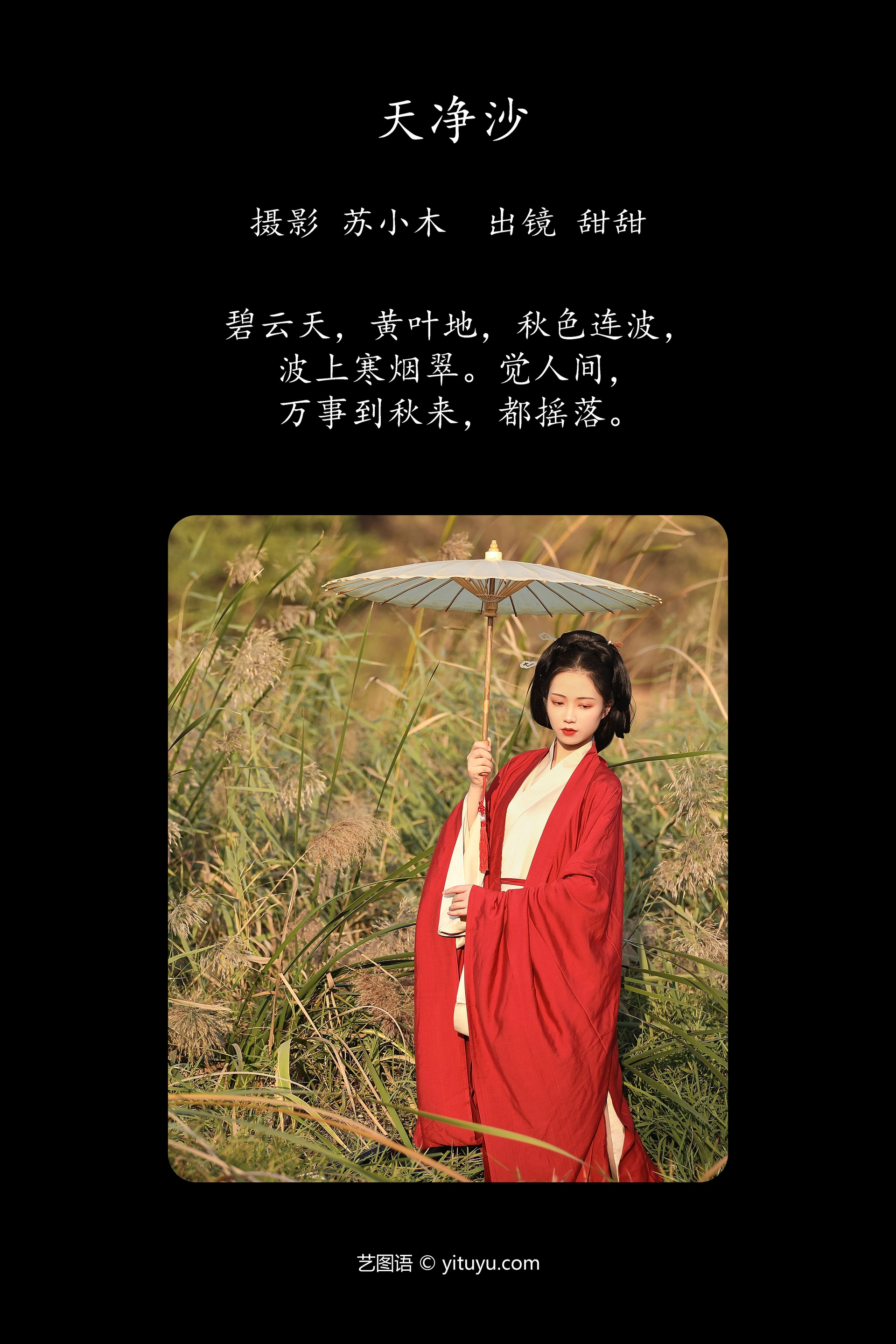 [YITUYU艺图语]2023.11.27 天净沙 甜甜 1
